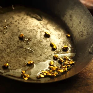 Gold Mining Pan